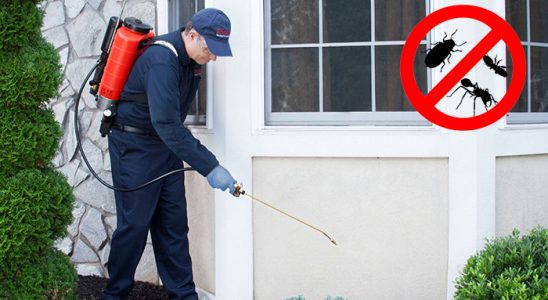 Özdere Gümüşkurt İlaçlama böcek ilaçlama ve haşere kontrolü — ilaclama-tr.com